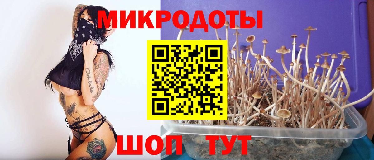 Псилоцибиновые грибы мицелий Новочебоксарск